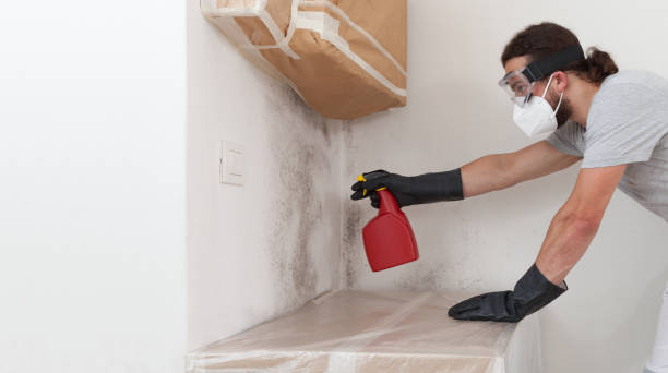 Professional Mold Inspection And Testing technician working in Dedham, MA